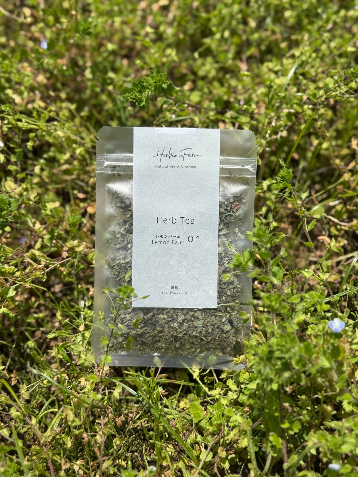レモンバーム