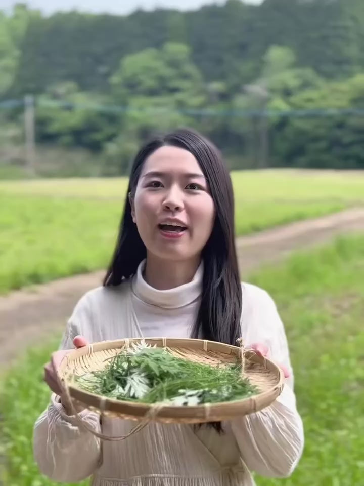 動画を読み込む: 